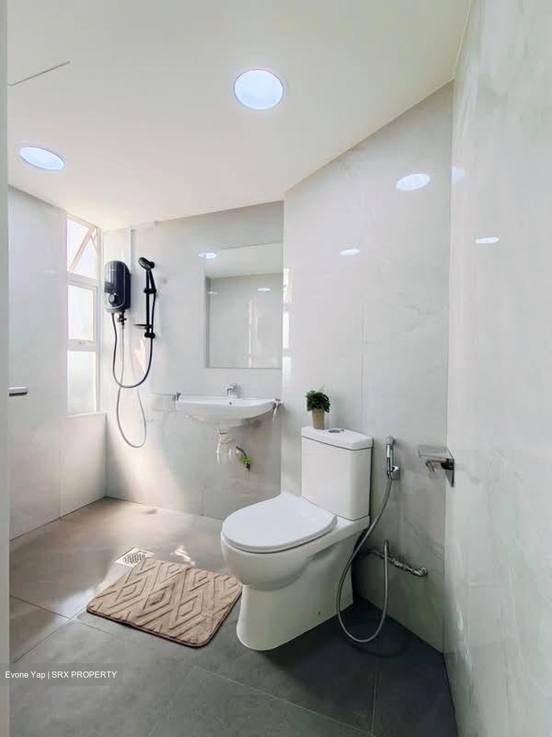 Pandan Valley (D21), Condominium #601310551